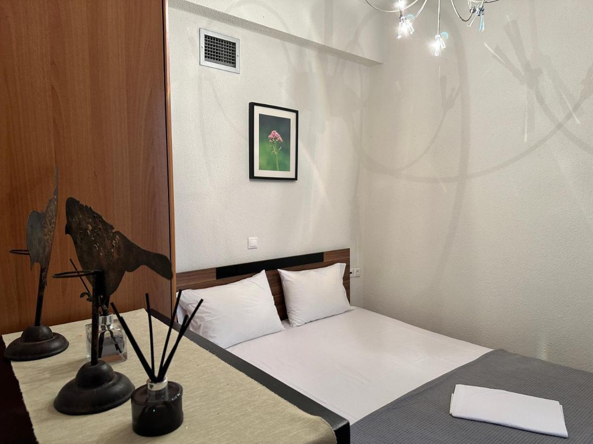 Escape To Paradise Experience Luxury And Serenity At Villa Elina In Sithonia Metochi Agias Kiriakis エクステリア 写真